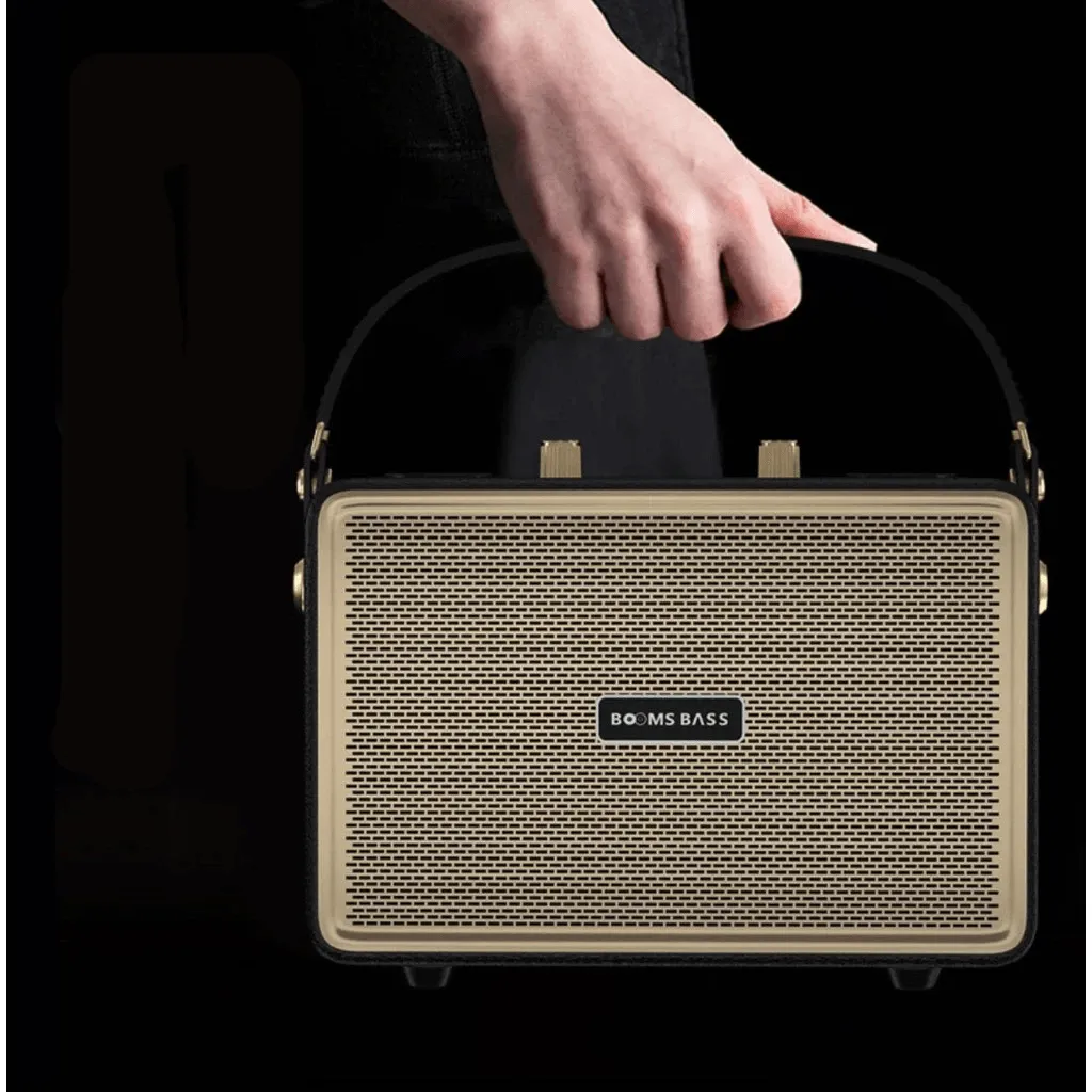 Booms Bass Stereo Outdoor Karaoke With 2 Microphones - M4202 