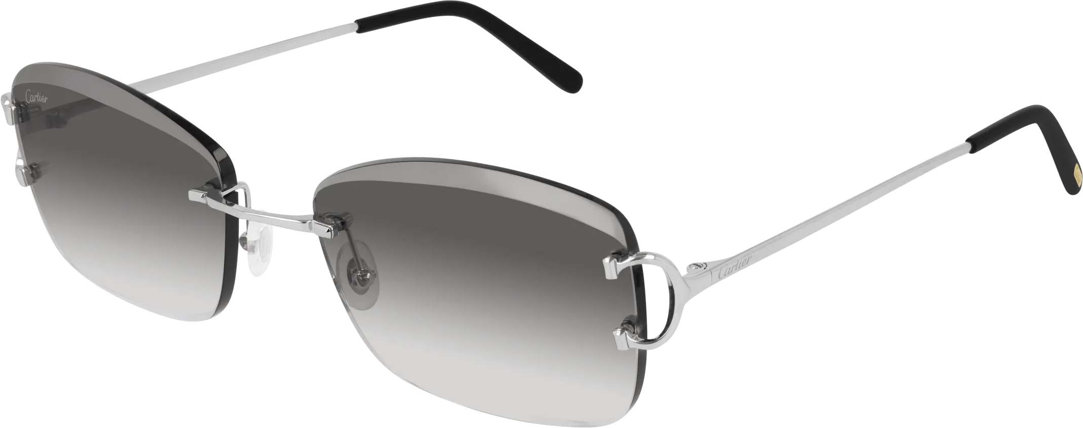 Cartier CT0010RS