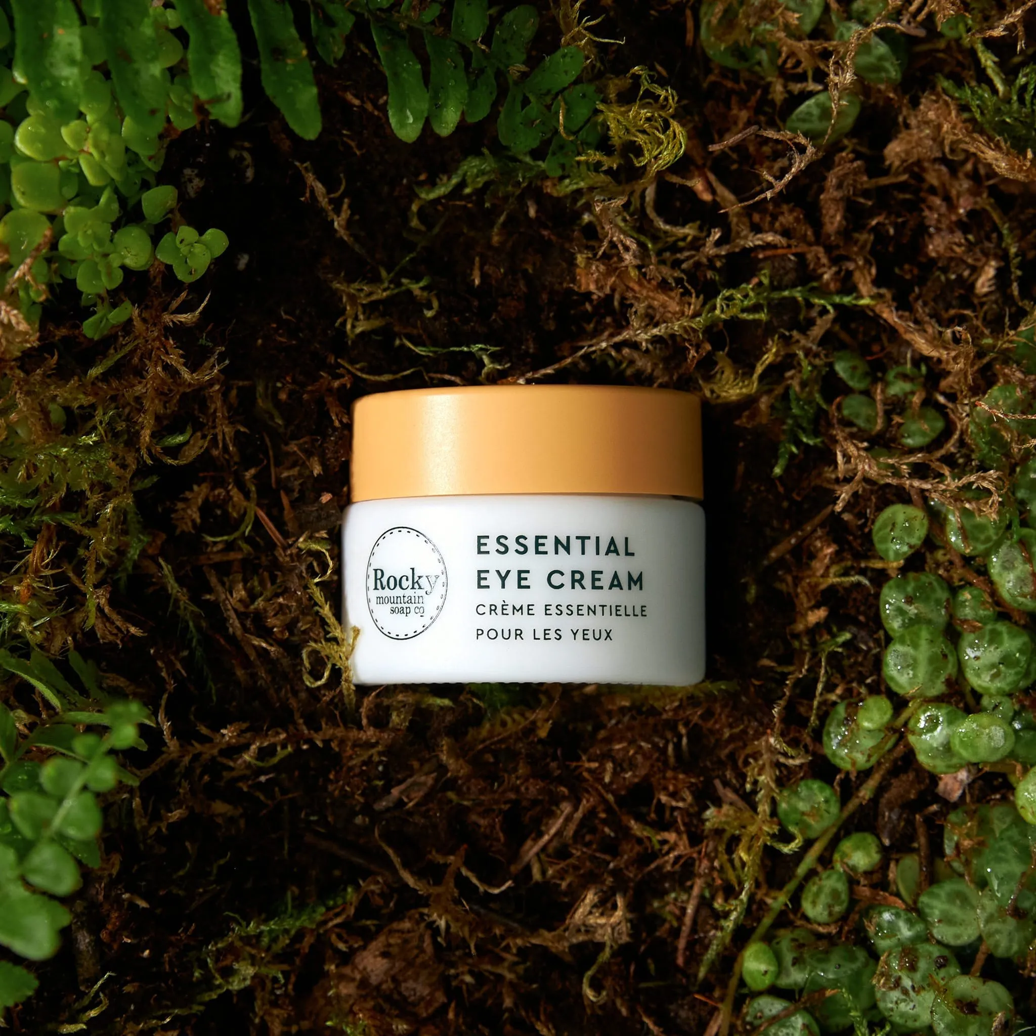 Complete Transformative Skincare Line