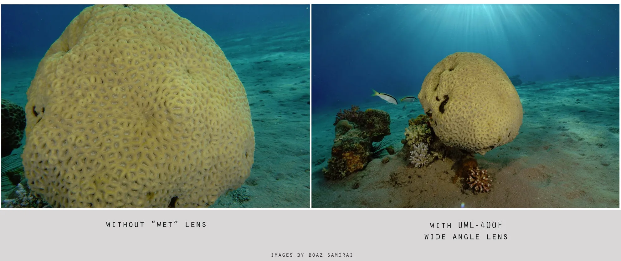 Fantasea UWL-400F Wide Angle Lens