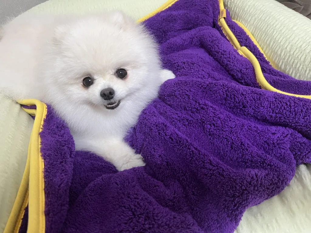 HoliPet Quick Dry Healing Towel