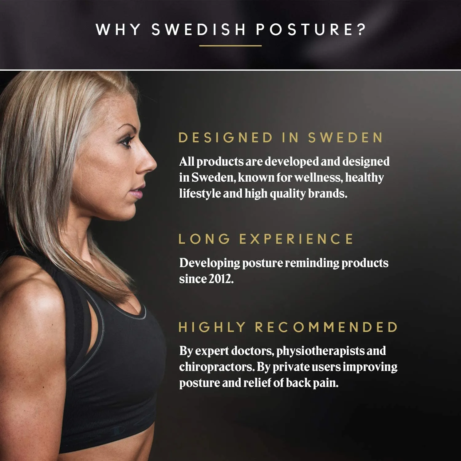 Swedish Posture - Mini Gym, Full Body Exercise Kit with Resistance Band, Use at Home, to Travel, or at The Office, for Full Body Workout